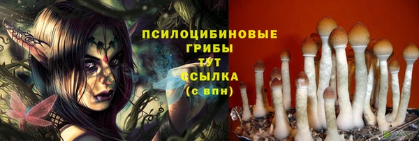 бошки Абдулино