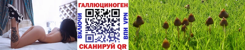 Псилоцибиновые грибы прущие грибы Сарапул