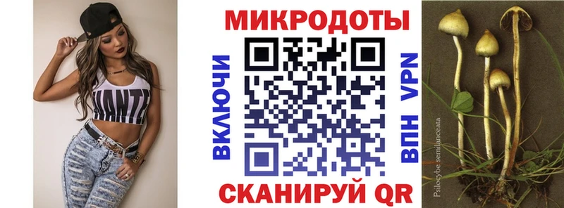 это официальный сайт  Сарапул  Псилоцибиновые грибы Psilocybe 